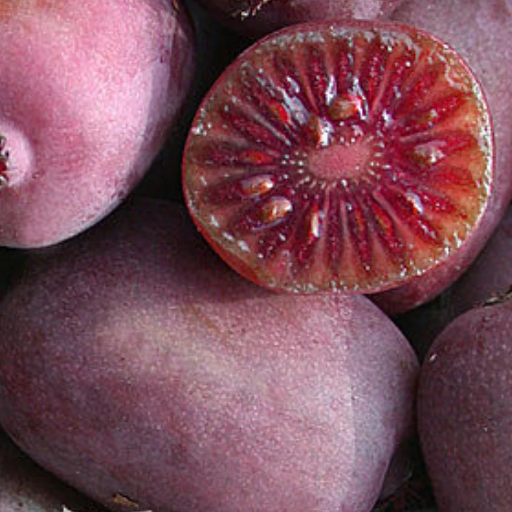 Kiwi-arguta-Kens-Red-femela-1.webp